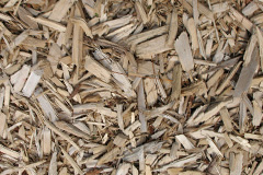 biomass boilers Duckswich