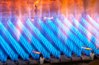 Duckswich gas fired boilers